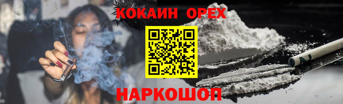 Элиста  COCAIN  Вход с VPN  Cocaine Fish Scale 
