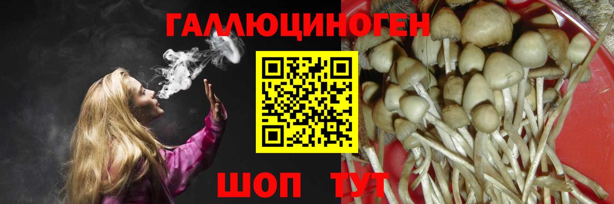 Галлюциногенные грибы мухоморы Элиста